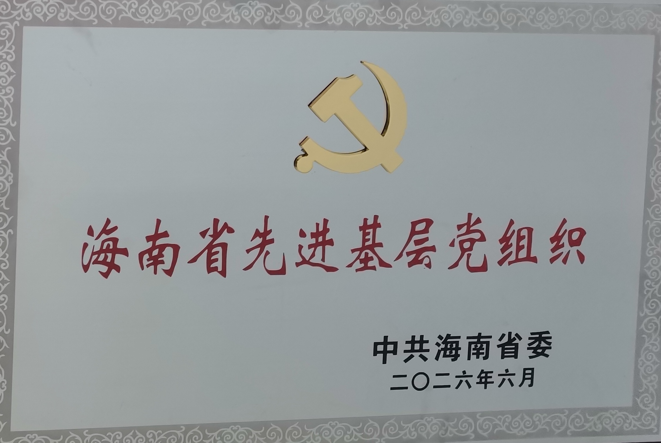 微信图片_20260630145011_2899_1051.jpg